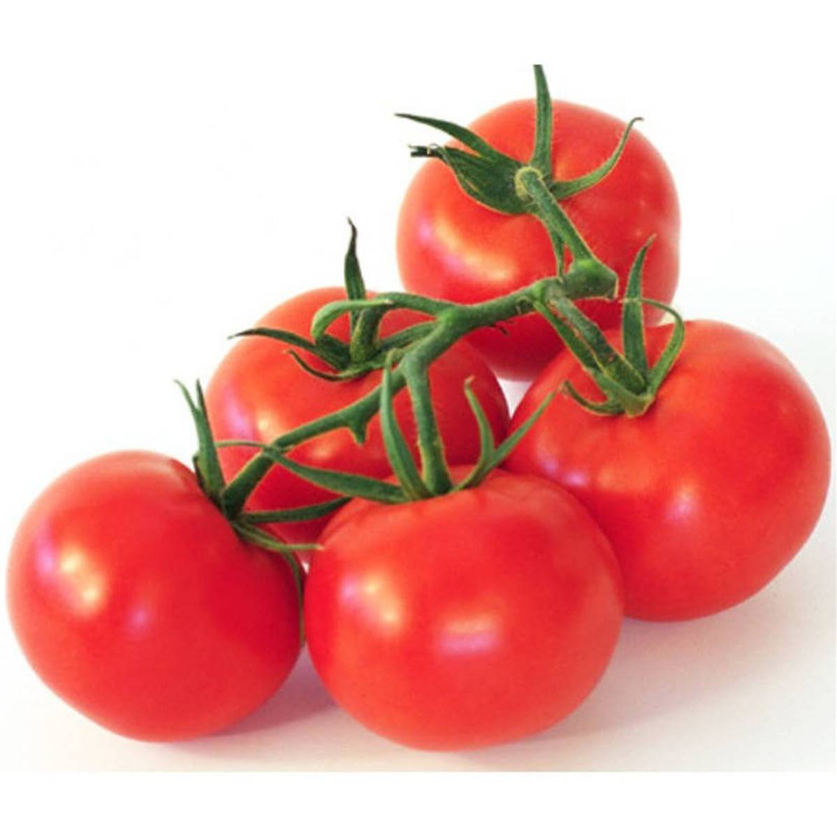 TOMATE GRAPPE