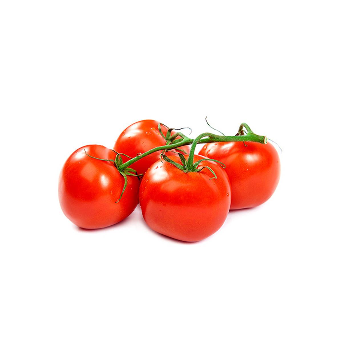 TOMATE GRAPPE