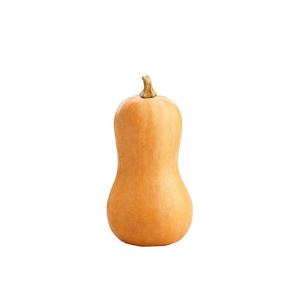 COURGE BUTTERNUT