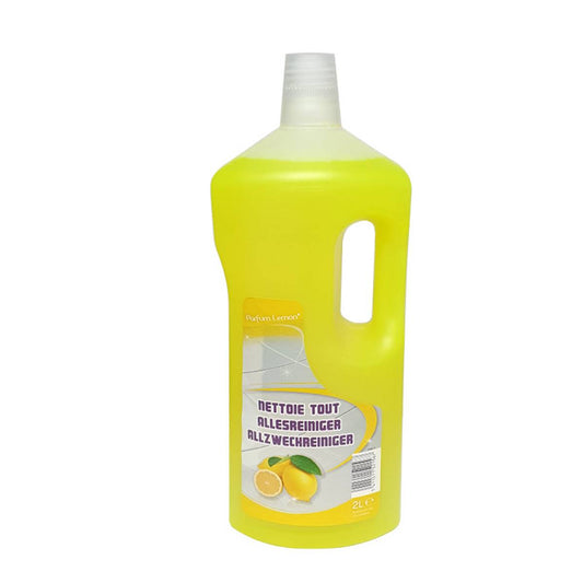 NETTOIE-TOUT CITRON 2L