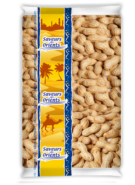 ARACHIDE COQUE GRILLEE 500g