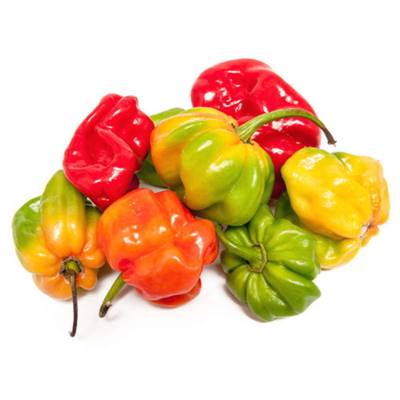 PIMENT FORT ANTILLAIS