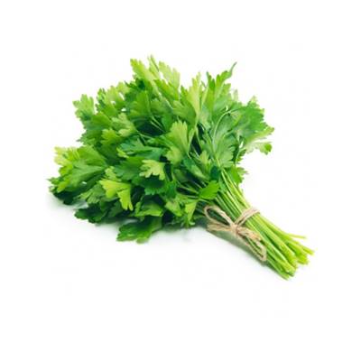 PERSIL PLAT